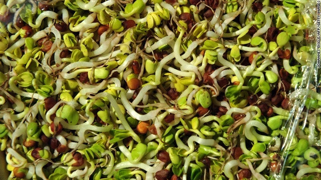 Bulk Sprouting Mix 2000g Health Blend - Nutrient-Rich Seeds for Sprouting - Non-GMO Alfalfa, Broccoli, Radish Mix