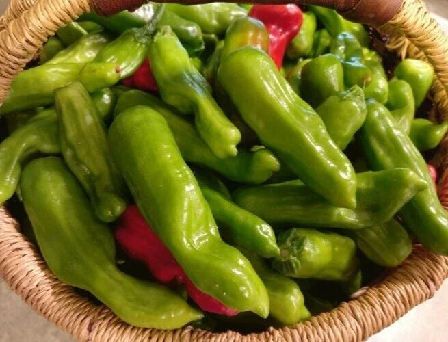 Italian Pepperoncini Seeds - 25 Premium Seeds - Capsicum annuum - Mild, Tangy Peppers for Home Garden and Culinary Use