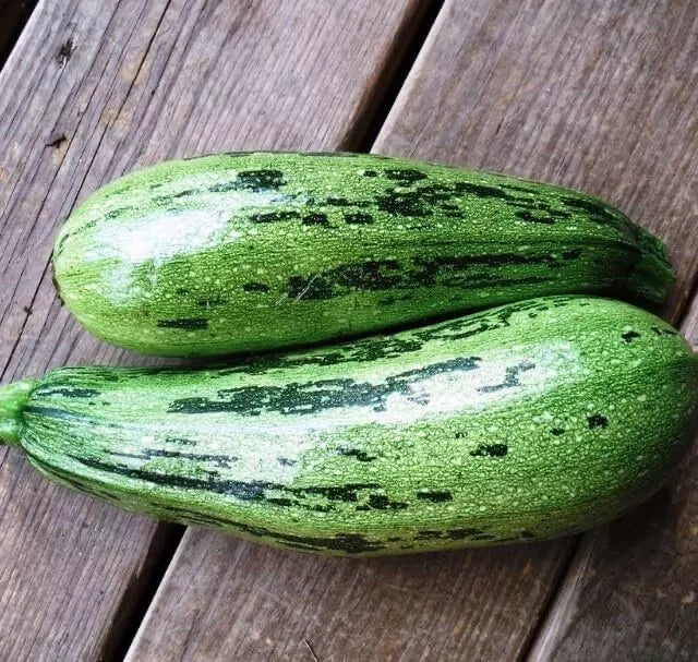 Caserta Squash Seeds - 10 Heirloom Seeds - Cucurbita pepo - High-Yielding, Easy to Grow, Vibrant Green Squash for Home Garden