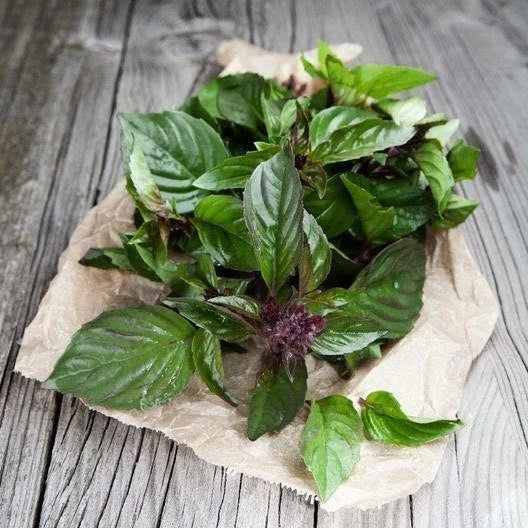 Thai Basil Seeds Non-GMO - Ocimum Basilicum Herb Seeds for Gardening - 100 Seeds Packet - Aromatic Purple Stems