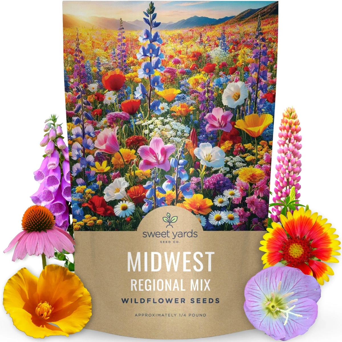 Wildflower Seed Mix Bulk 1/4 Pound - Midwest Regional Variety - 60,000 Seeds for Planting - Non-GMO & Pesticide-Free