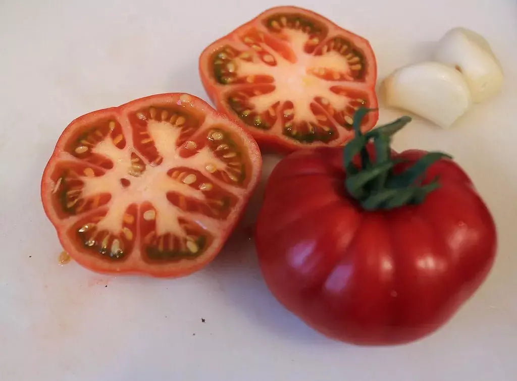 Sub Arctic Plenty Tomato Seeds - 10+ Organic Heirloom Seeds - Fast Growing Variety - Solanum lycopersicum