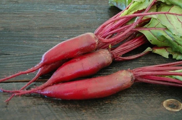 Cylindra Beet Seeds - Organic Heirloom, Non-GMO, Beta vulgaris - Perfect for Home Gardens