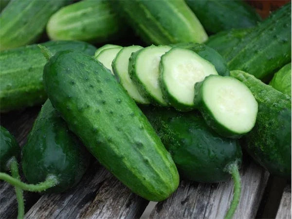 Cucumber Seeds - Boston Pickling Variety - Heirloom Cucumis sativus - 30 Seeds for Home Gardening and Pickling
