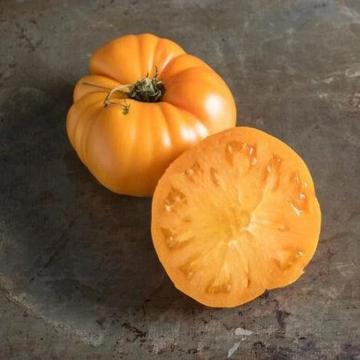 Yellow Brandywine Tomato Seeds - 30+ Organic Heirloom Non-GMO - Solanum lycopersicum - Large Yellow Tomatoes