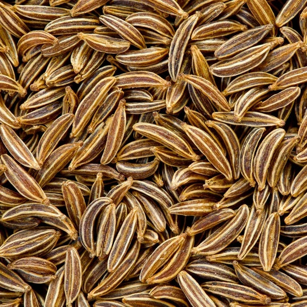 Caraway Seeds | Heirloom Non-GMO Herb Seeds | Culinary Spice | Carum carvi | Easy to Grow for Home Gardeners