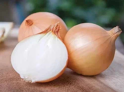 Yellow Granex Onion Seeds - 500+ Count - Non-GMO, USA Grown - Allium cepa - Ideal for Garden Planting