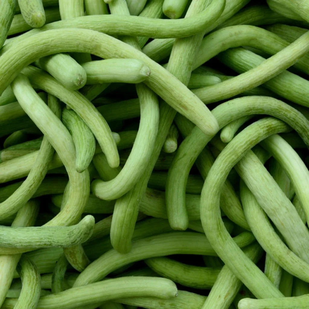 Dark Armenian Cucumber Seeds - 50+ Premium Seeds - Cucumis sativus - Long Serpent Vegetable - Perfect for Home Gardens