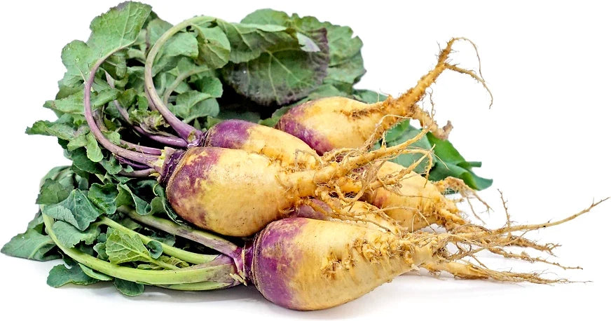 Rutabaga Seeds - 500+ Baby Bunch Variety - Brassica napus - Non-GMO - Ideal for Garden Planting - USA Grown