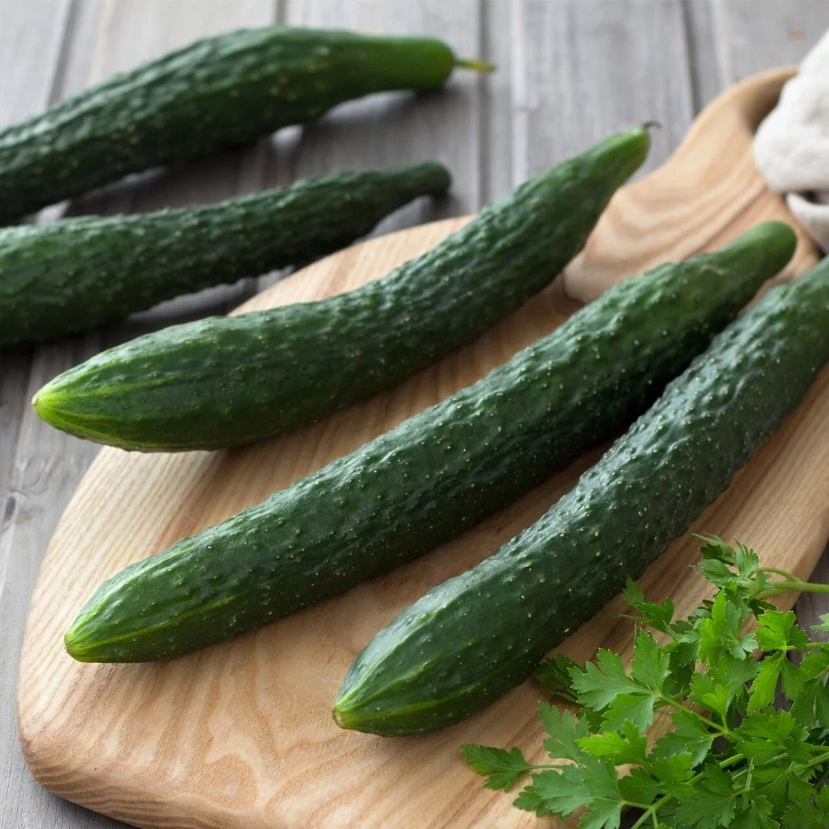 Suyo Long Cucumber Seeds - 100+ Organic Heirloom - Cucumis sativus - Rare Variety for Home Gardens and Containers