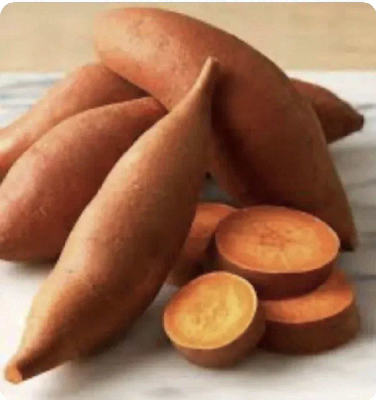 Beauregard Sweet Potato Plants - 15 Slips - Organically Grown - Ipomoea batatas - High Yield for Home Gardens