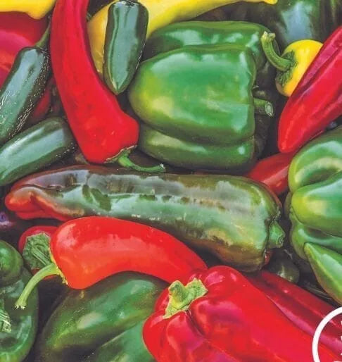 Sweet & Spicy Pepper Mix Seeds - 120+ Variety Pack - Non-GMO Heirloom - Capsicum spp. - Fresh Seed Collection for Gardeners