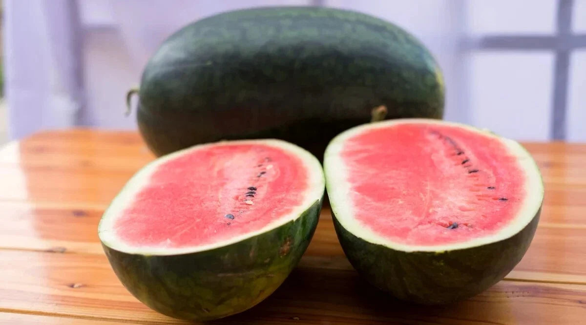 Black Diamond Watermelon Seeds - 50+ Pack - Heirloom Citrullus lanatus - Non-GMO, Sweet Watermelons for Home Gardening