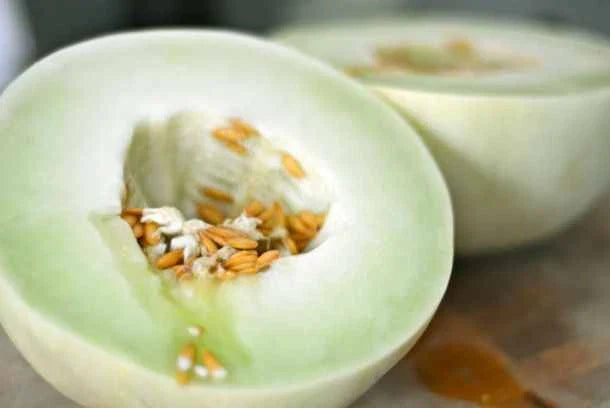 Green Flesh Honeydew Melon Seeds - 25+ Non-GMO Seeds for Home Garden (Cucumis melo) Sweet Juicy Fruit