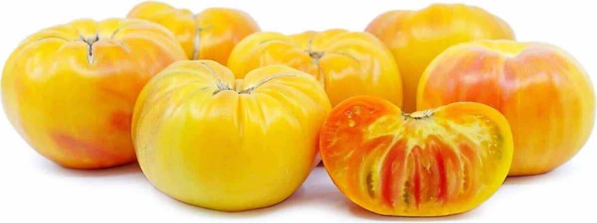 Pineapple Tomato Seeds - 30+ Organic Heirloom NON-GMO - Rare Variety - Solanum lycopersicum for Home Gardens