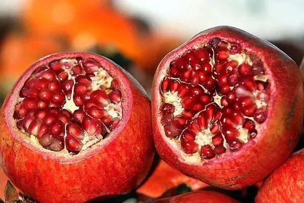 PARFIANKA Pomegranate Tree Cutting - Live Plant 13-20" - Punica granatum - Ideal for Home Garden & Landscaping