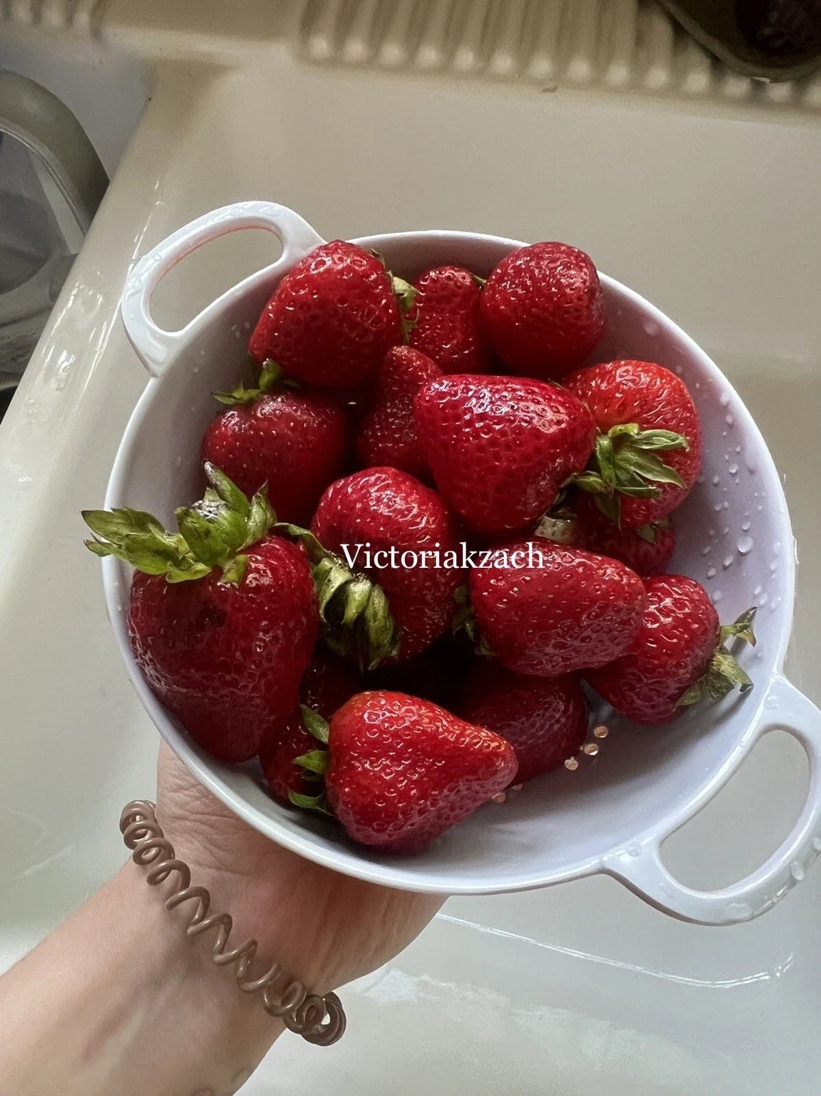 500 Organic Strawberry Seeds | Non-GMO Edible Garden | Fragaria x ananassa | Homegrown Fruit