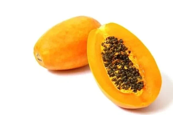 Hawaii Yellow Papaya Seeds 60 Count - Sweet Variety Carica papaya - USA Grown 2024 Harvest for Home Gardening