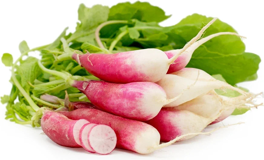 French Breakfast Radish Seeds - Organic Non-GMO Vegetable Seeds for Planting - Raphanus sativus - Fast Germination