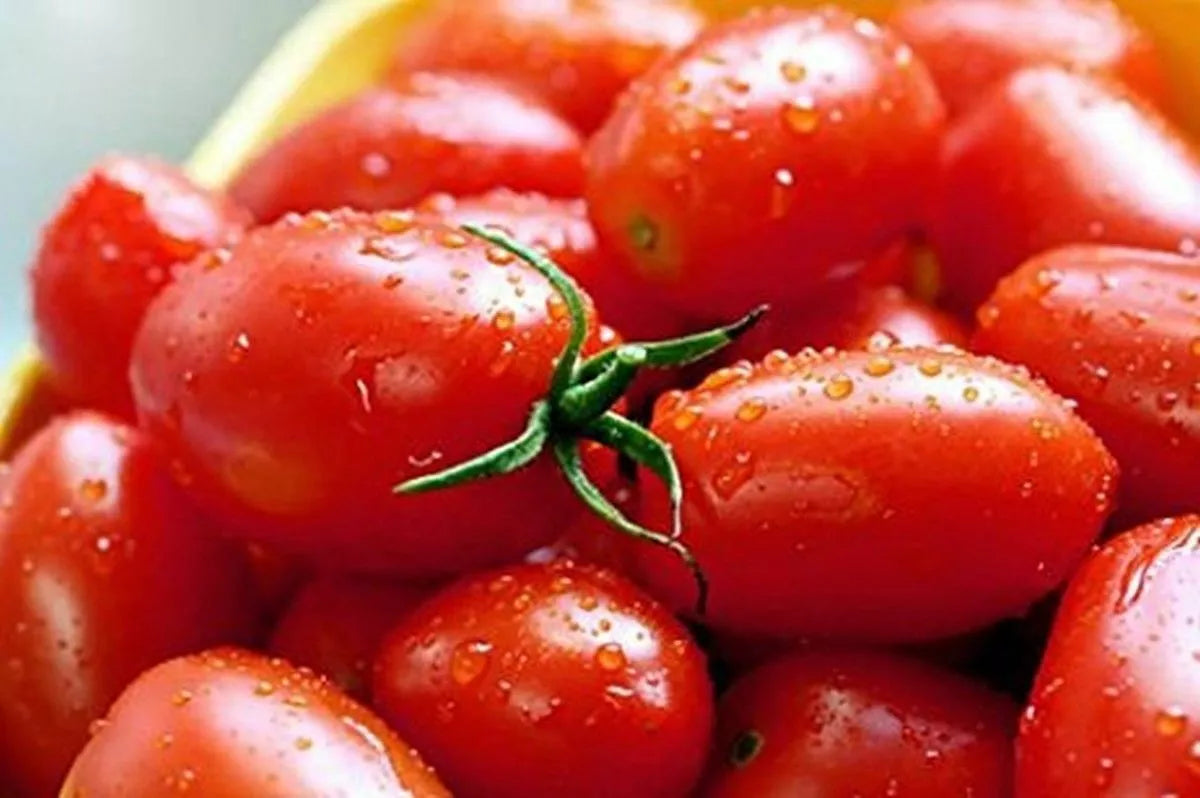 Crovarese Italian Grape Tomato Seeds 50 Ct Heirloom Solanum lycopersicum Non-GMO for Home Garden USA Free Shipping