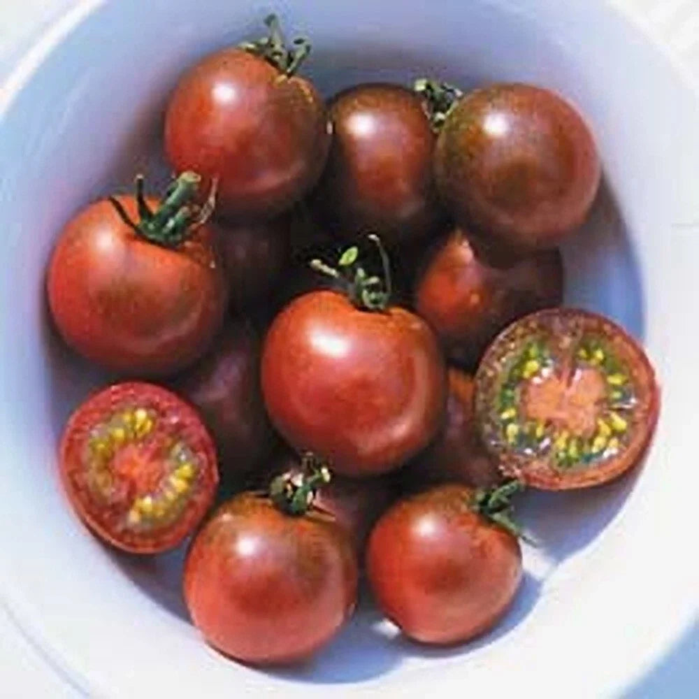 Brown Berry Tomato Seeds - 30+ Heirloom Non-GMO Organic - Solanum lycopersicum - Rare Variety for Home Garden