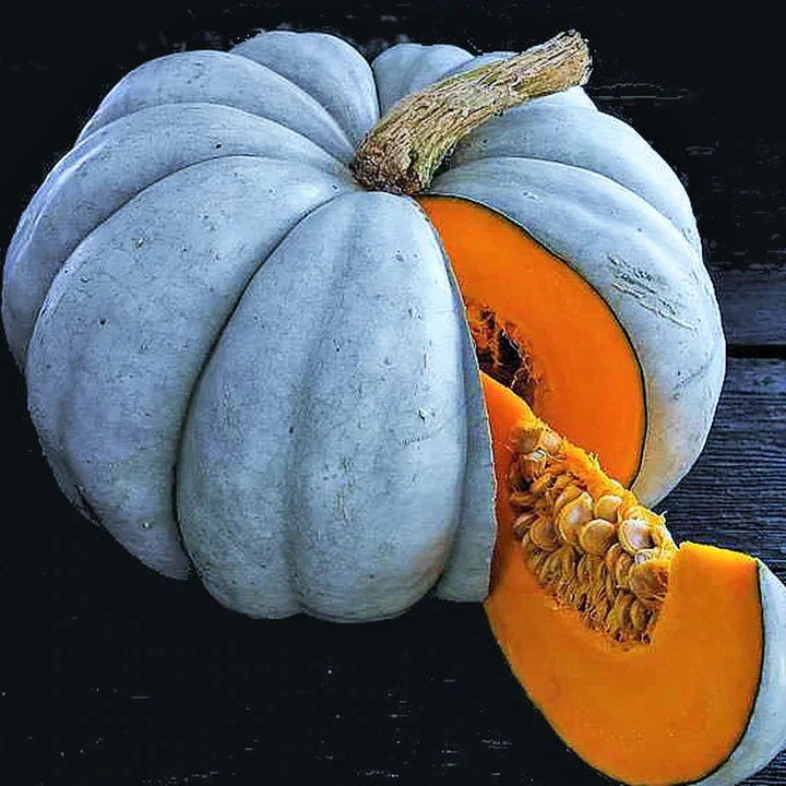 Jarrahdale Blue Pumpkin Seeds - Packet of 10 - Cucurbita maxima - Winter Squash for 2025 Planting - Non-GMO Gardening Seeds