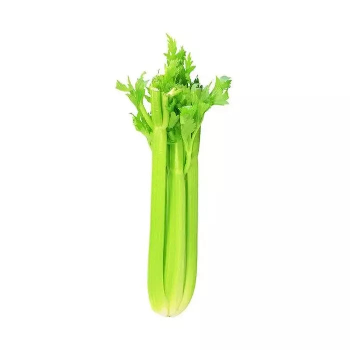 Celery Seeds 20 Pack - Heirloom Non-GMO - Apium graveolens - Perfect for Home Gardens and Culinary Use
