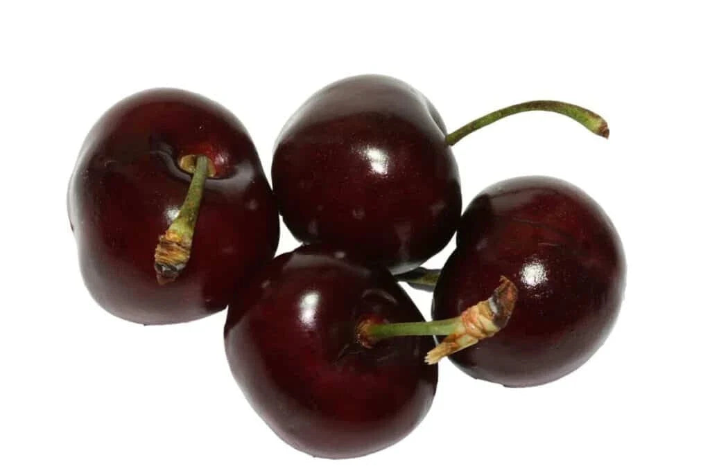 Bada Bing Cherry Seeds - 10+ Count for Garden Planting - Prunus avium - Non-GMO, USA Grown, Easy to Grow