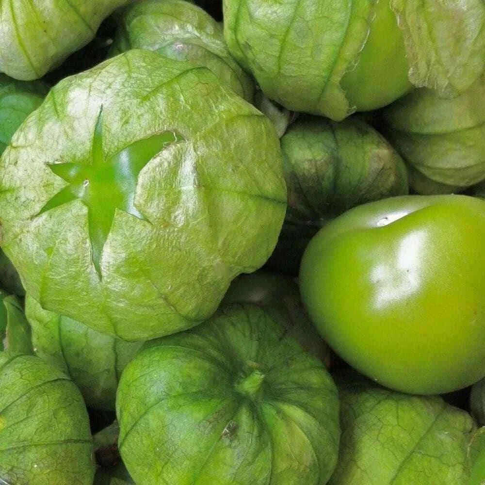Tomatillo Seeds 50 Ct Heirloom Non-GMO Grande Rio Verde Physalis ixocarpa - Vegetable Seeds for Home Gardening