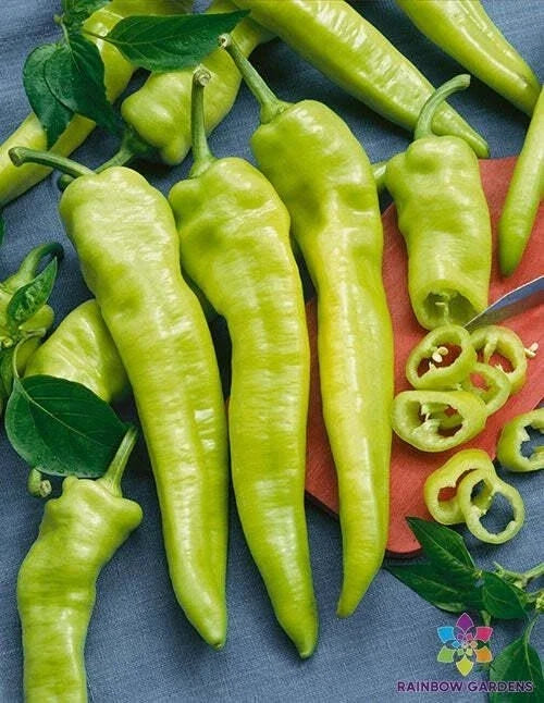 Hungarian Wax Hot Pepper Seeds - 25+ Seeds - Capsicum annuum - Spicy Yellow Peppers for Garden Planting - USA Grown