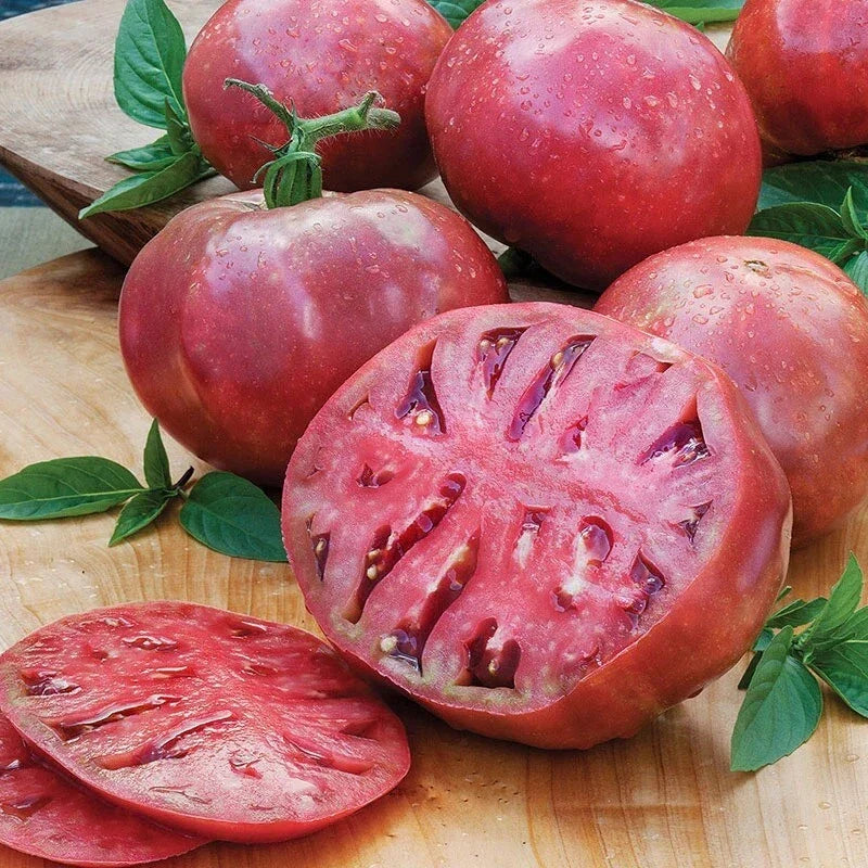 Cherokee Purple Beefsteak Tomato Seeds - 75 Non-GMO Heirloom Seeds - Solanum lycopersicum - Rich Flavor & Dark Purple Hue