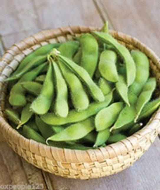 Be Sweet Edamame Seeds - 15+ Non-GMO Seeds | Glycine max | Fast-Growing Asian Vegetable for Home Gardening