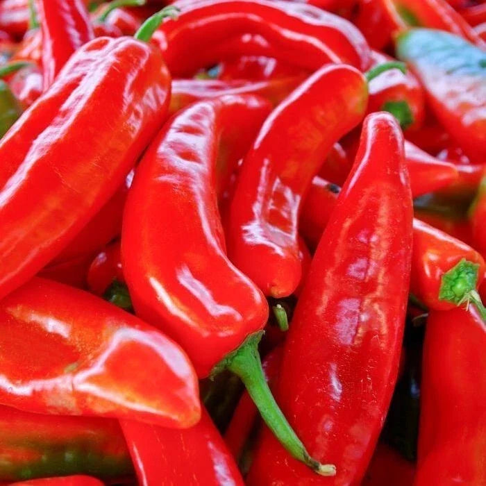 Red Marconi Sweet Pepper Seeds 50+ Non-GMO Capsicum annuum for Vegetable Garden - Premium Garden Seeds