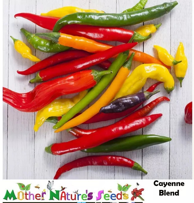 Cayenne Hot Pepper Seeds - Fiesta Blend, Non-GMO, 90 Seeds, Capsicum annuum, 30,000+ Scoville Heat Units