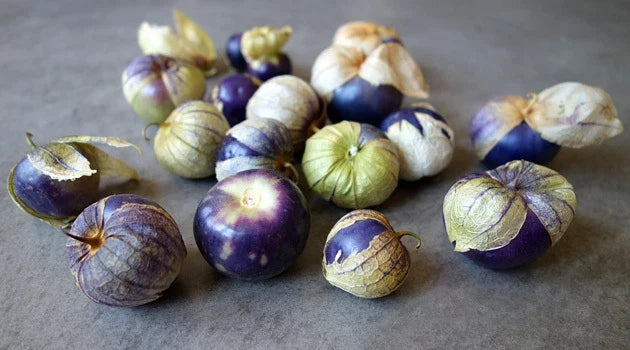 Purple Tomatillo Seeds - 20 Count Heirloom Variety for Salsa - Physalis ixocarpa - Non-GMO Gardening
