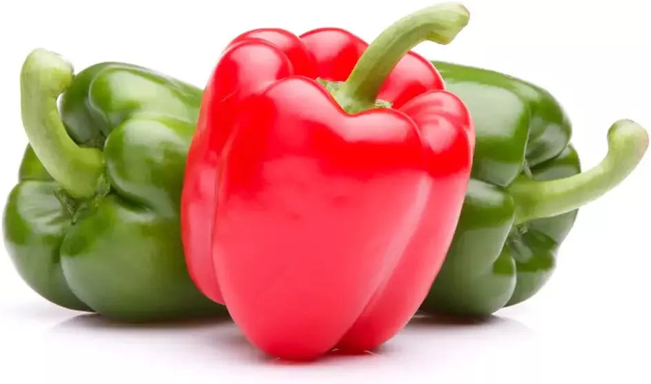 30 Ozark Giant Sweet Pepper Seeds - Capsicum annuum - Large Bell Peppers for Home Garden