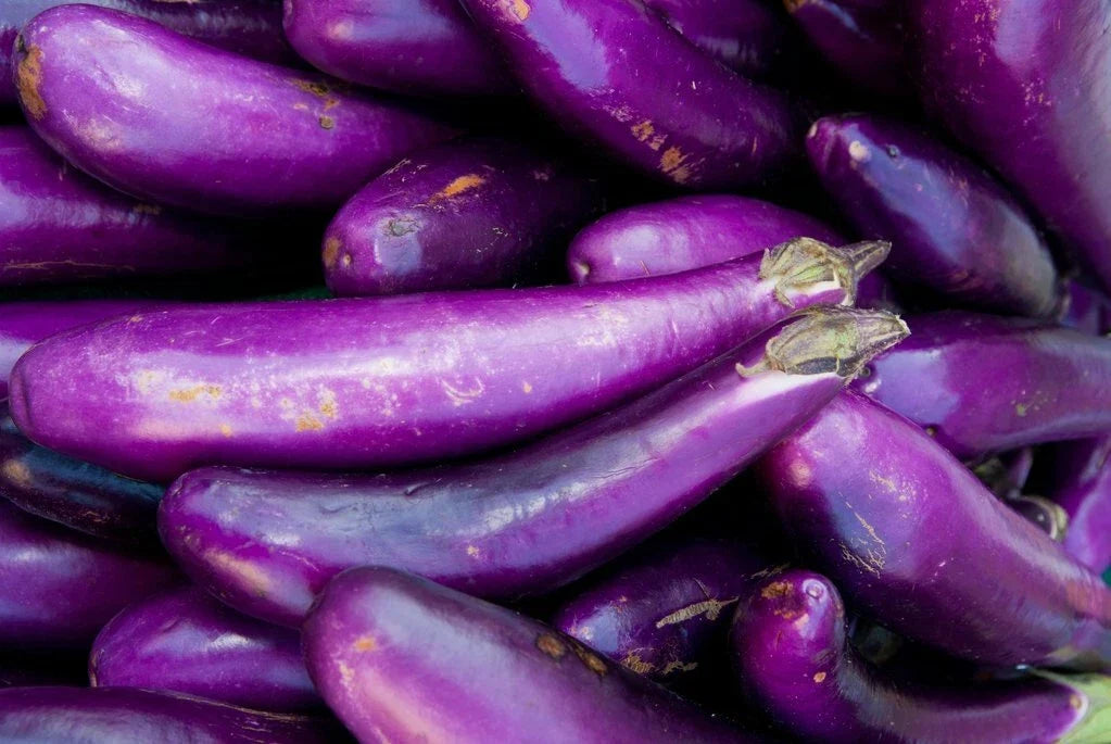 Long Purple Eggplant Seeds - 200+ Heirloom NON-GMO Vegetable Seeds - Solanum melongena - Ideal for Home Gardens and Containers