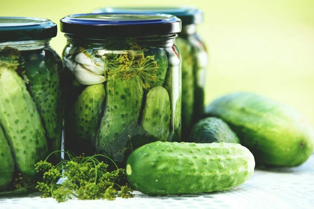 Boston Pickling Cucumber Seeds - 50+ Non-GMO Heirloom Seeds - Cucumis sativus for Home Gardening and Pickling
