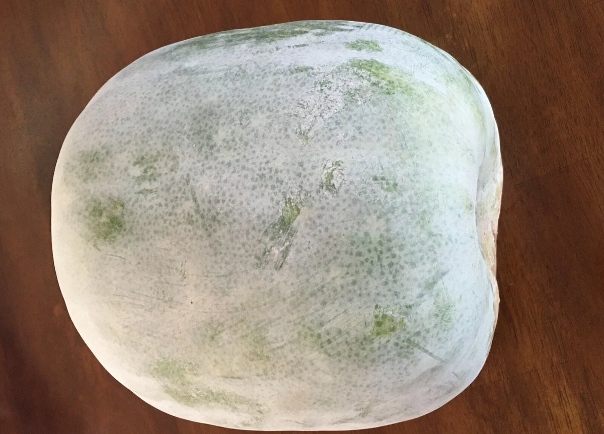 Wax Gourd Seeds 20+ Pack - White Ash Gourd Winter Melon (Dong Gua) - Heirloom Vegetable Seeds Benincasa hispida for Home Garden