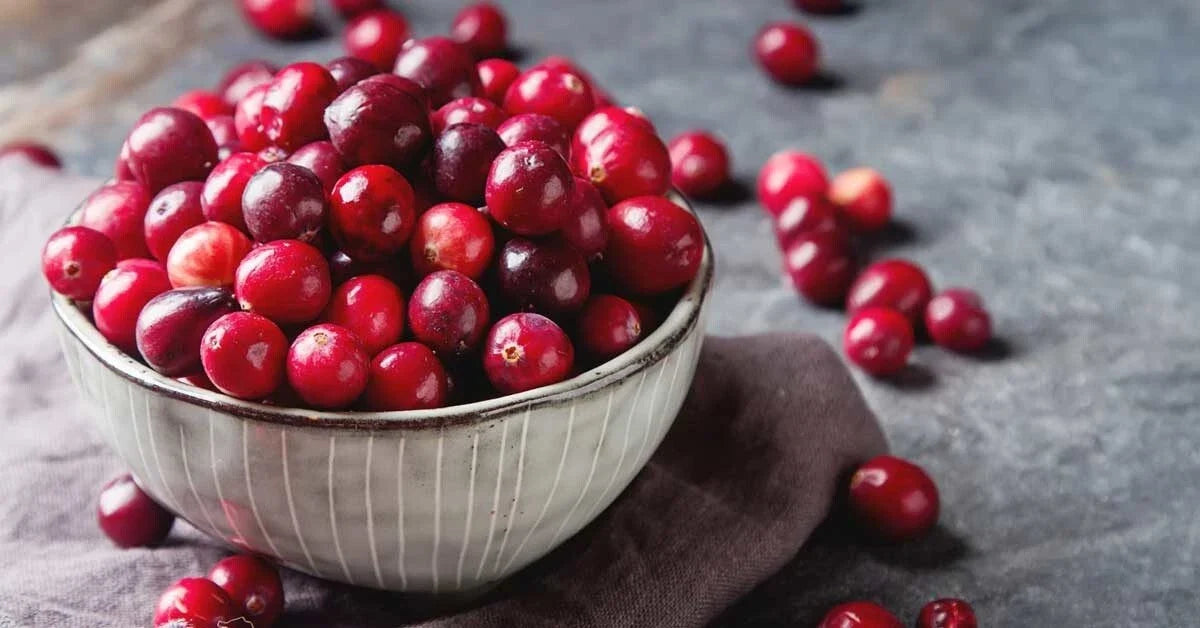 50 Cranberry Seeds - Organic Non-GMO Medici Variety - Vaccinium macrocarpon - Edible Fruit for Home Gardening