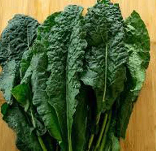 Lacinato Kale Seeds - 200+ Heirloom Dinosaur Kale - Brassica oleracea - Italian Variety for Home Gardening and Cooking