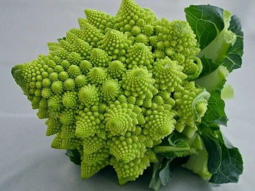 Romanesco Italia Broccoli Seeds - 100 to 1000 Seeds - Fractal Natalino Brocoflower - Brassica oleracea var. botrytis