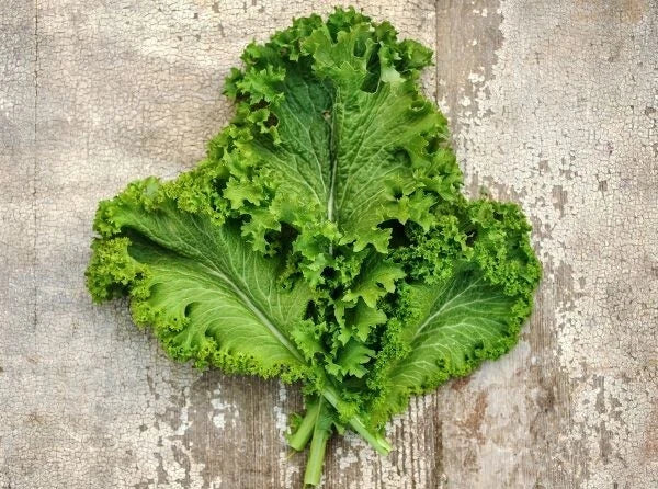 Green Wave Mustard Seeds - 150 Count - Spicy Microgreens - Brassica juncea - Cold Hardy, Nutrient Rich, Easy to Grow