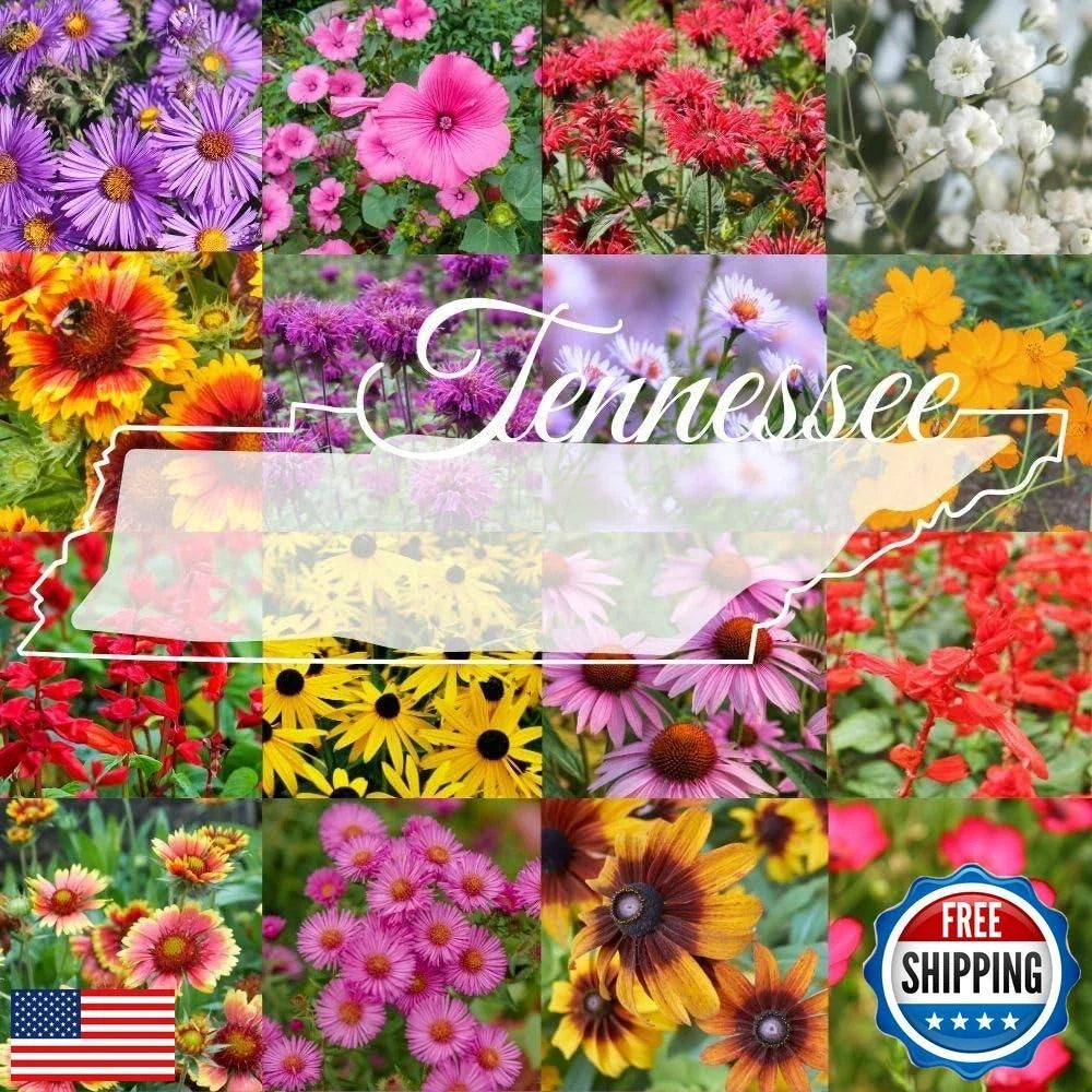 Tennessee Wildflower Seed Mix 1lb - Perennial Native Mix for Birds & Pollinators - Various Species - Covers 2000 sq ft