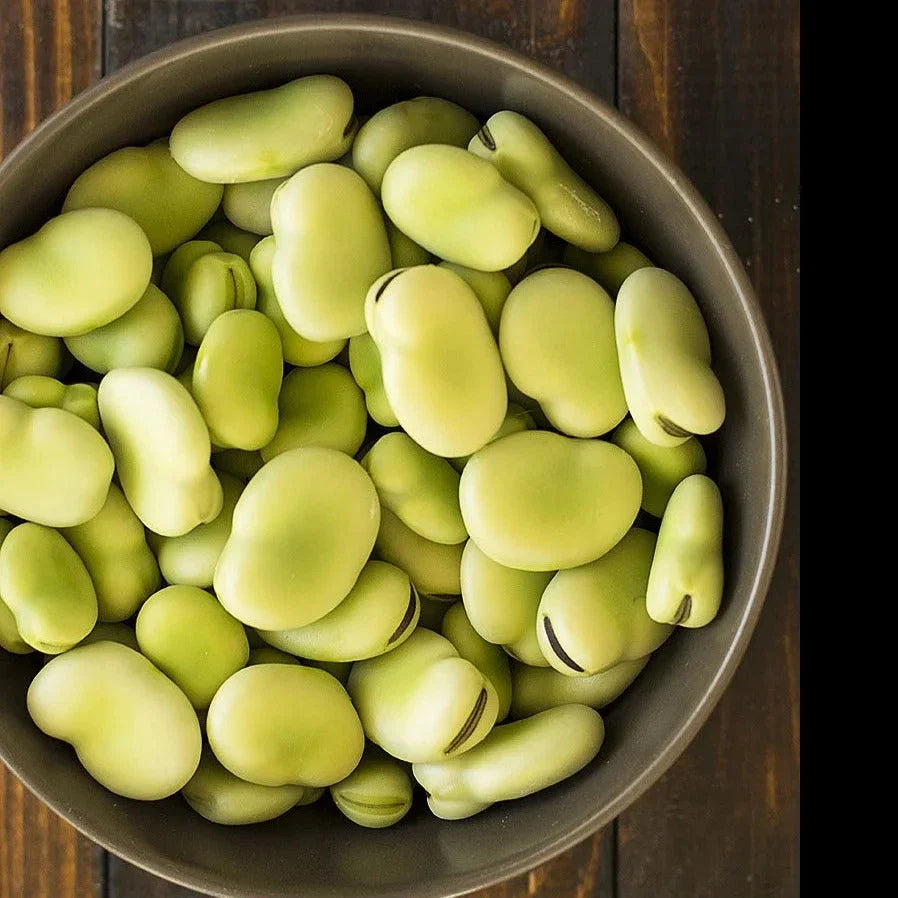 Aquadulce Fava Bean Seeds - 20+ Count - Vicia faba - Non-GMO Cover Crop for Soil Fertility 2025 Planting