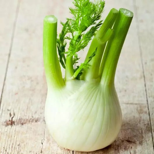 Florence Fennel Seeds - 400 Non-GMO Herb Seeds - Foeniculum vulgare dulce - Ideal for Culinary Gardens, USA Seller