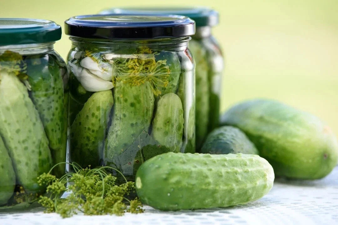 National Pickling Cucumber Seeds - 25 Heirloom Seeds for Dill Pickles - Cucumis sativus - High-Yield Variety