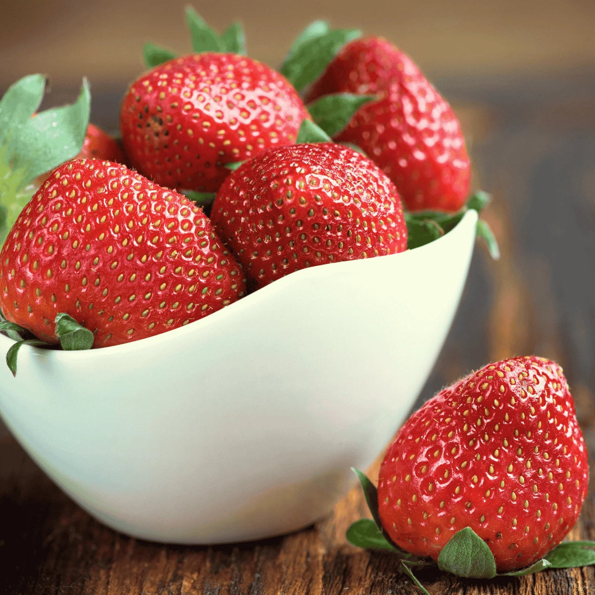Extra-Large Bare Root Cabot Strawberry Plants, June-Bearing, Sweet Flavor, Fragaria × ananassa - Perfect for Home Gardening