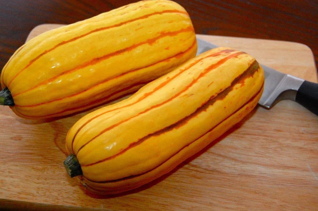 Delicata Winter Squash Seeds - Organic Heirloom Cucurbita pepo - Non-GMO Seed Packet - Perfect for Home Gardening