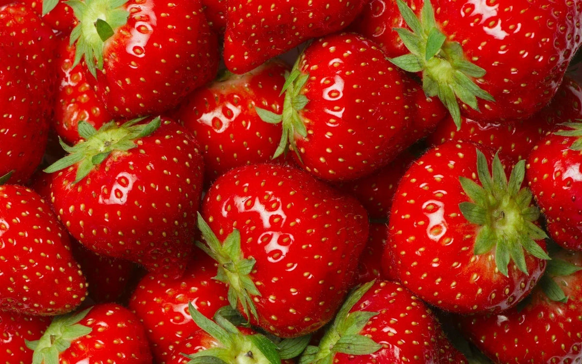 Jewel Strawberry Plants - 5 Root Clusters - Junebearing - Fragaria × ananassa - Hardy Zones 4-8 - Sweet & Juicy Berries